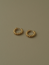 Load image into Gallery viewer, Anja Twist Hoops