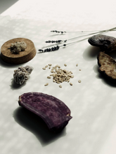 Load image into Gallery viewer, Lavender Reishi Mask set